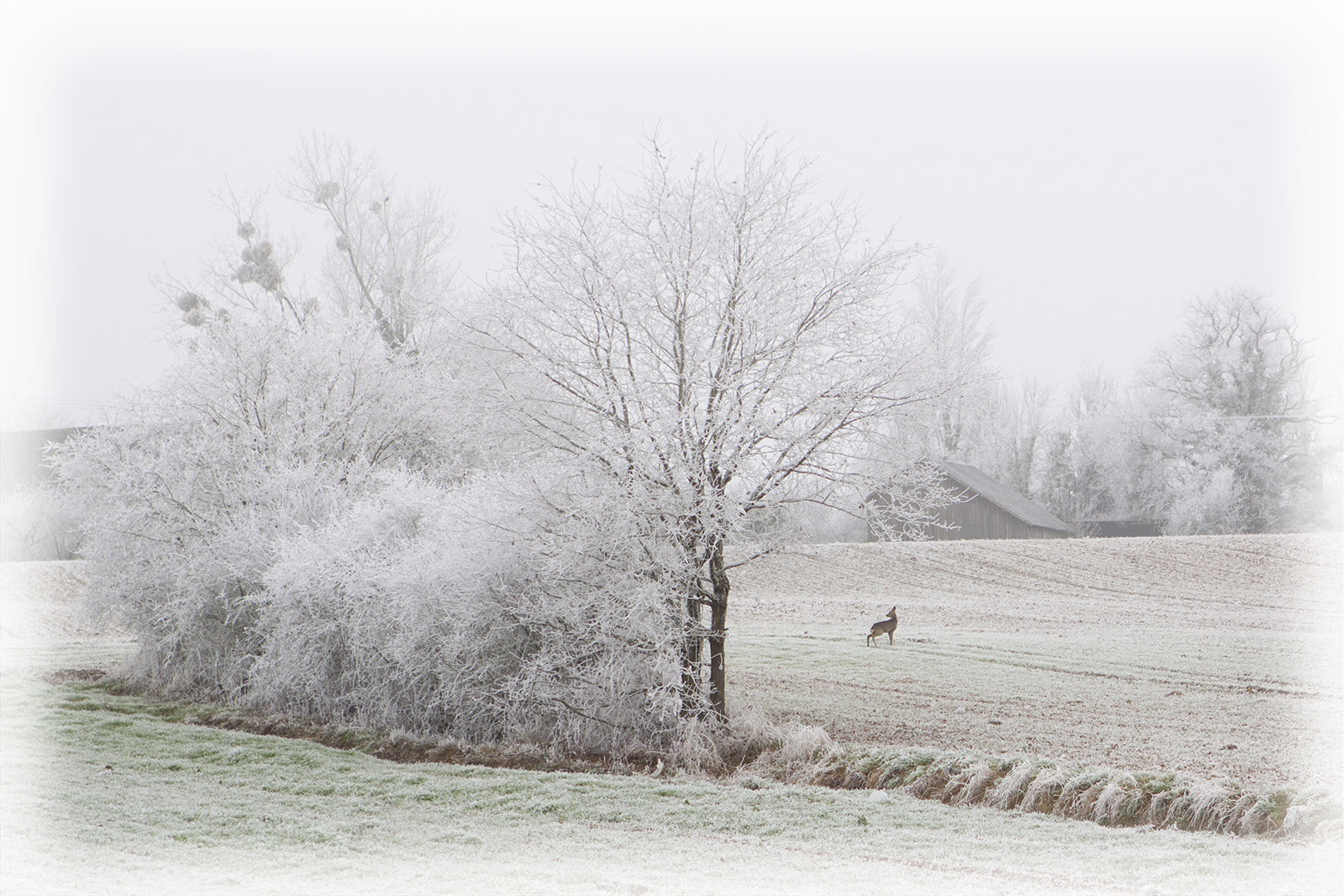Salon d&rsquo;Art Photographique – Orléans