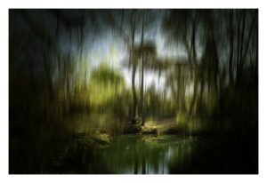 Territoire – Serge Radiu