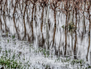 Territoire – Julie Butterfas