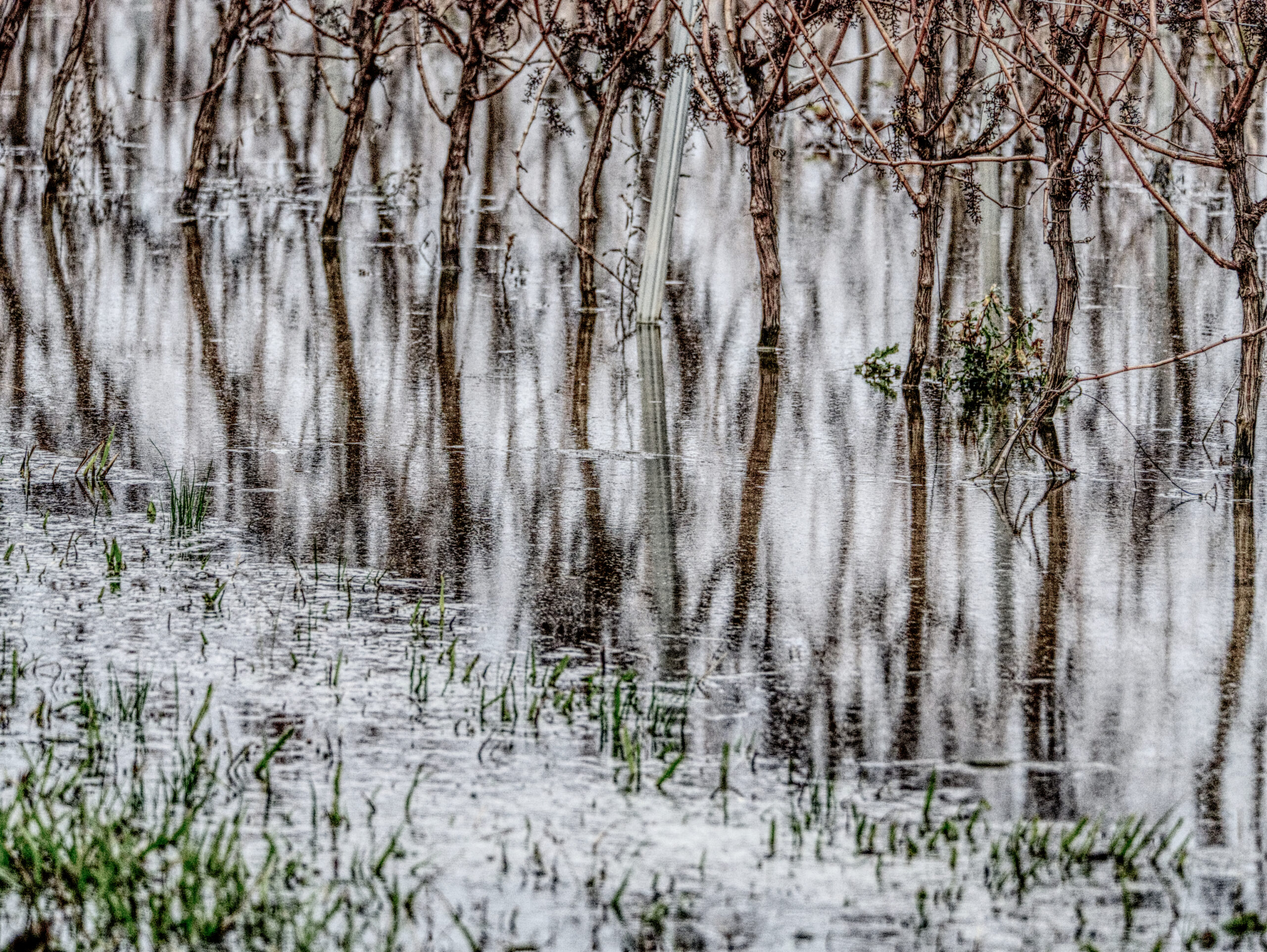 Territoire – Julie Butterfas