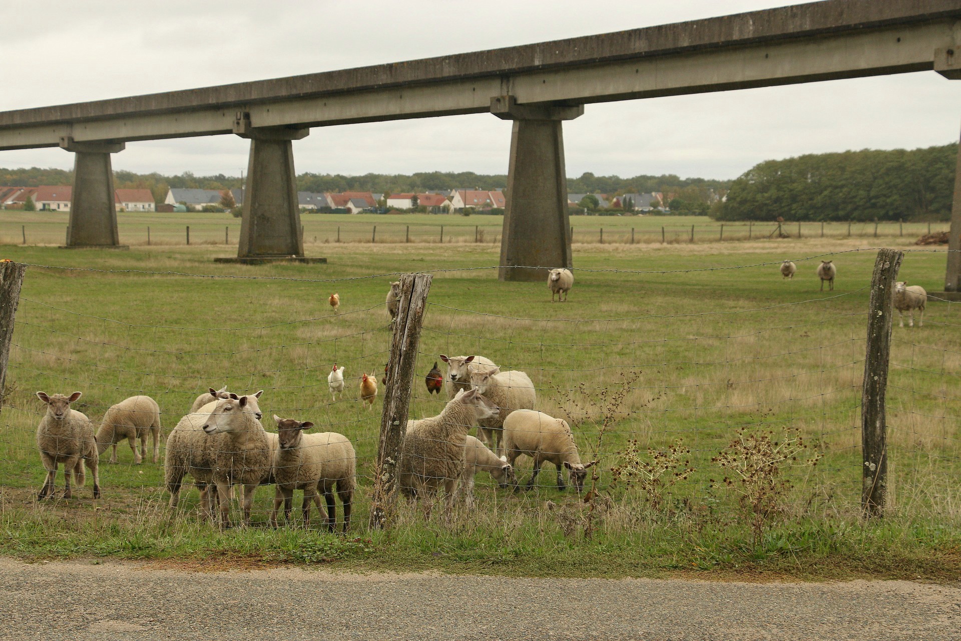 Territoires – Jean-Marie BELLOC