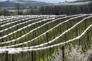 Territoire – Philippe Rouyer