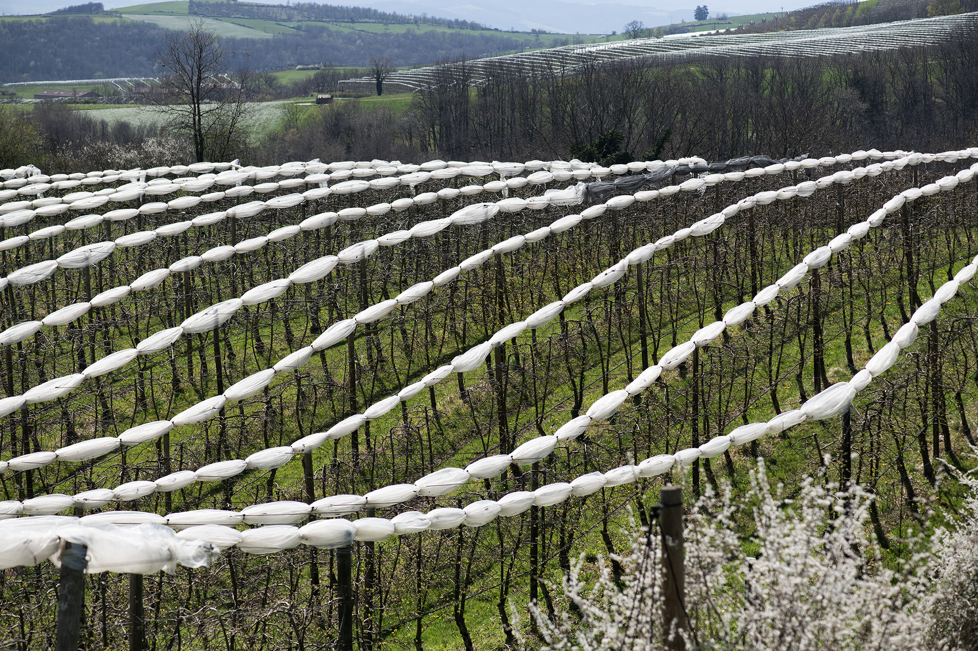 Territoire – Philippe Rouyer