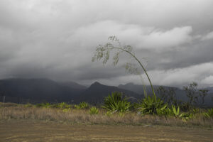 Outre Mer – Solange Cantaloube