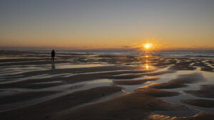 Territoire – Jean-Louis Saubion