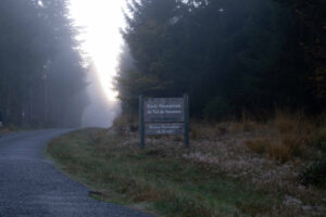 Territoire – Florence Diolez