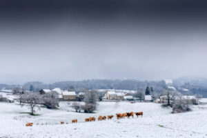 En Creuse – Michel Haury