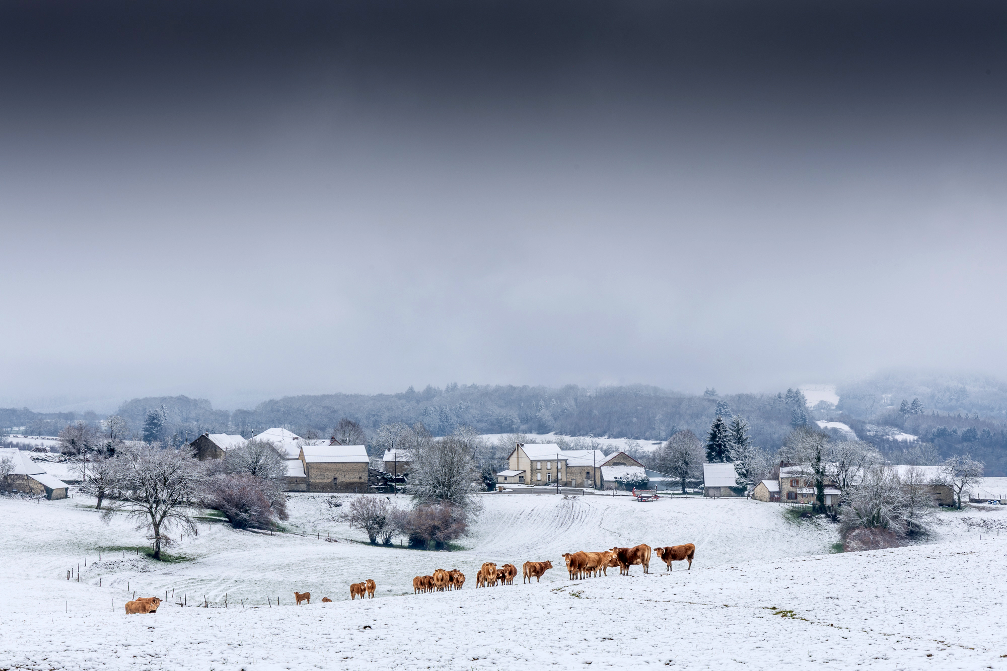 En Creuse – Michel Haury