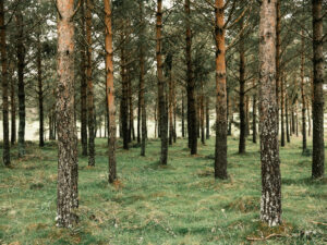 De villes en villages – Michel Dao