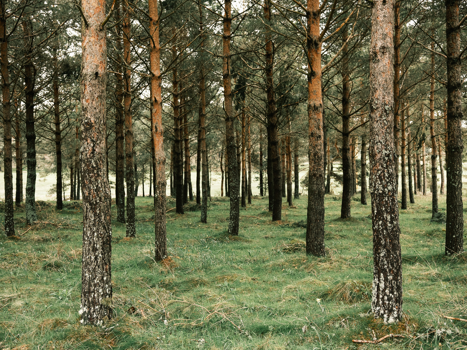 De villes en villages – Michel Dao