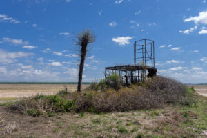 Roots of Blues – François Salgas