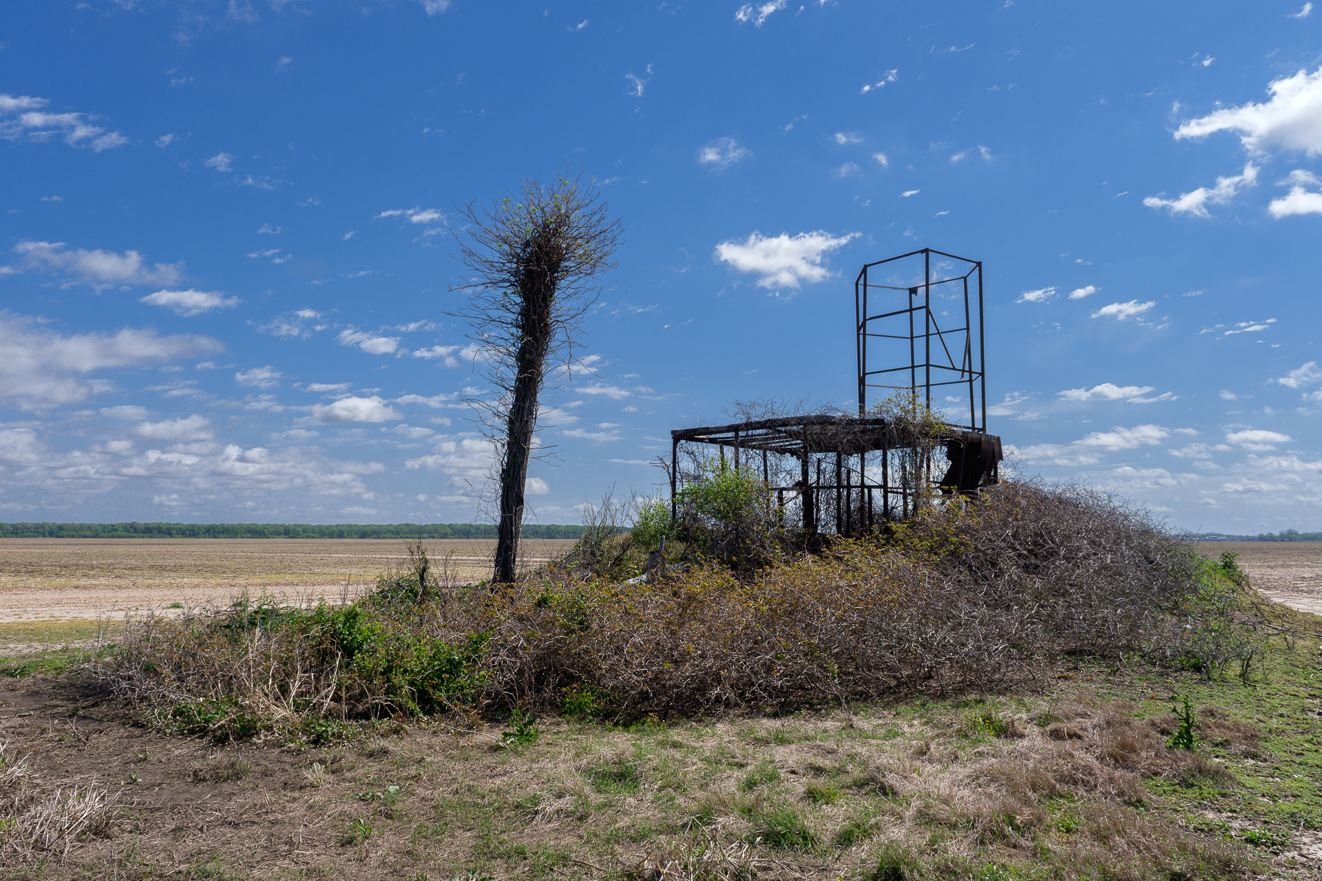 Roots of Blues – François Salgas