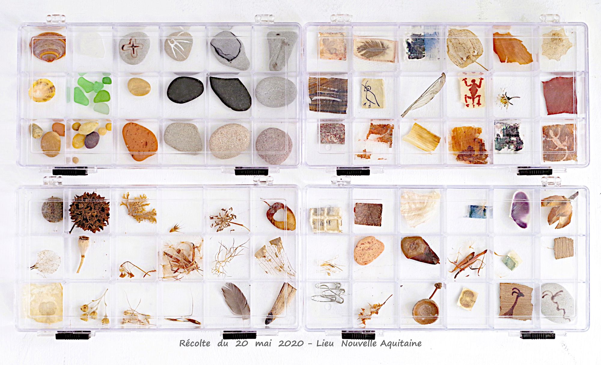 Récolte d&rsquo;un territoire 
