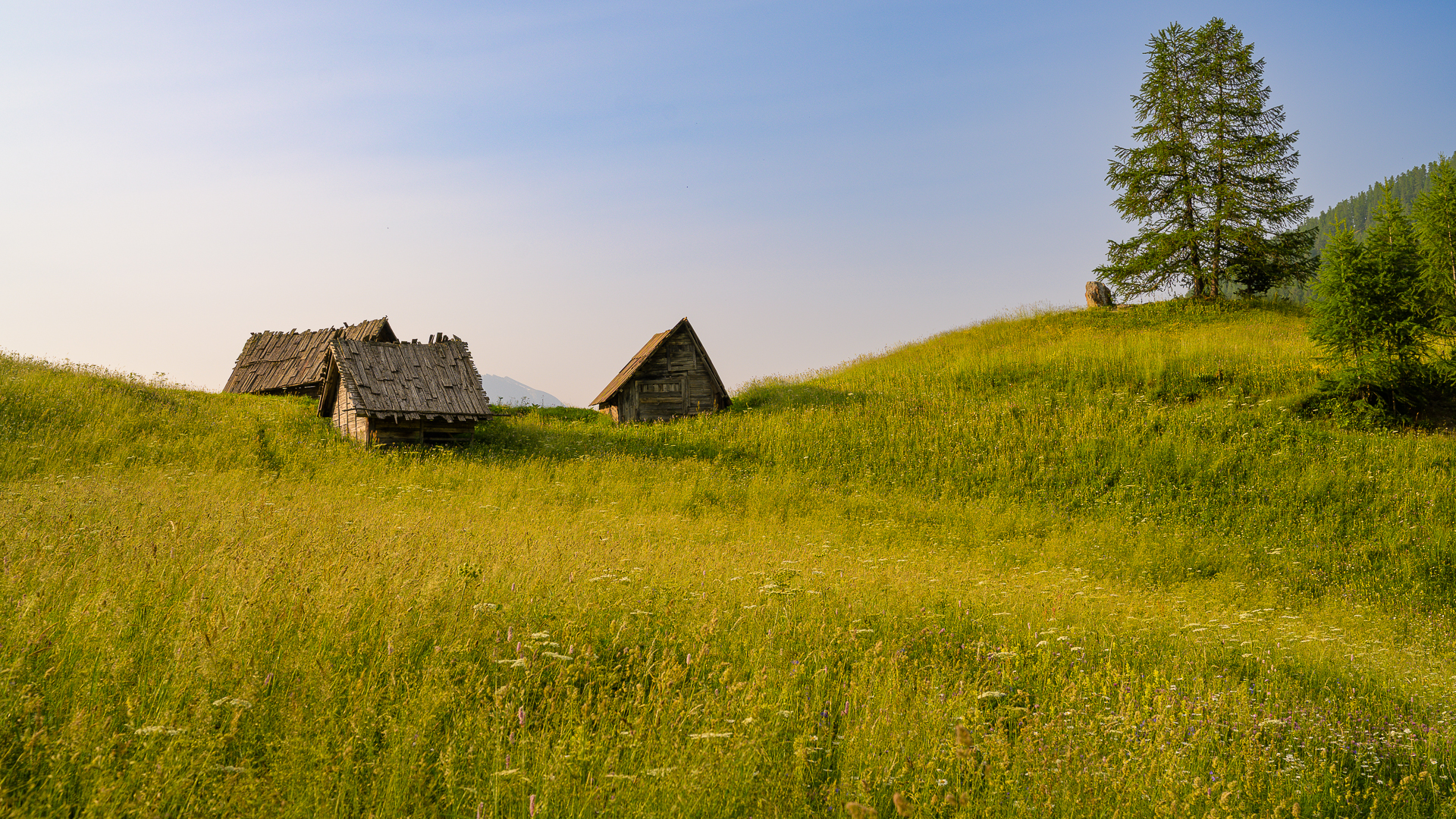 Souliers en Queyras – Jean-Pierre Cartier