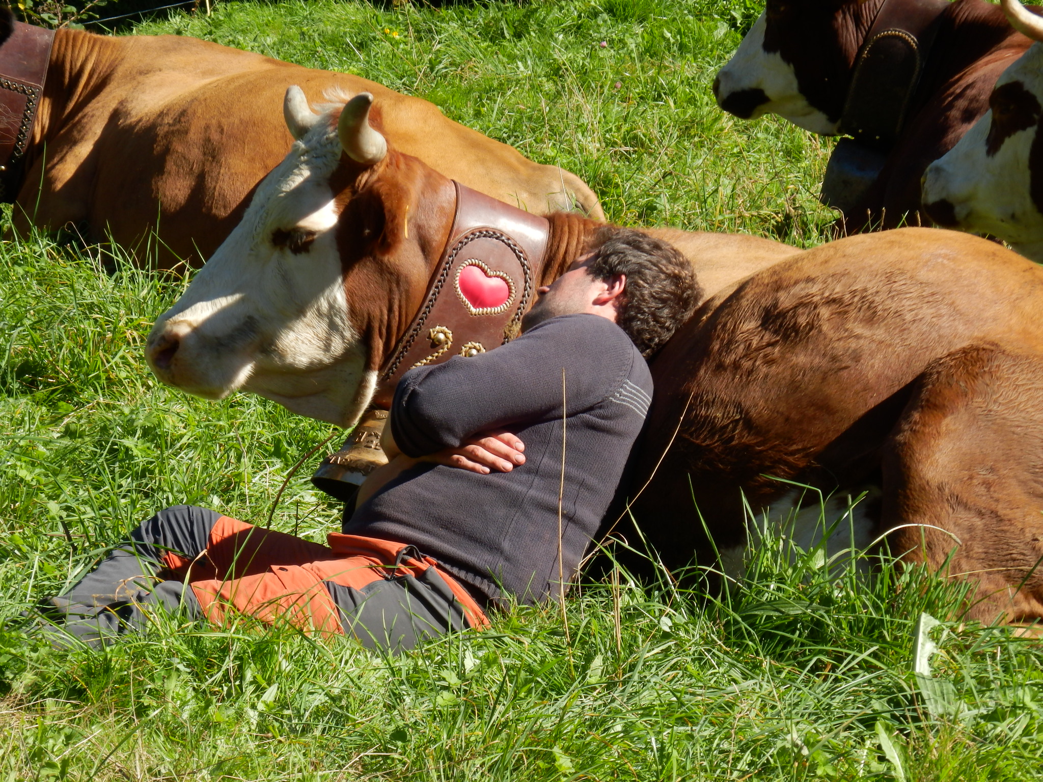 La Ressourcerie  de Ferme en Ferme – Flumet (73)