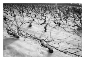 Territoire – Jean-Louis Blanchemanche