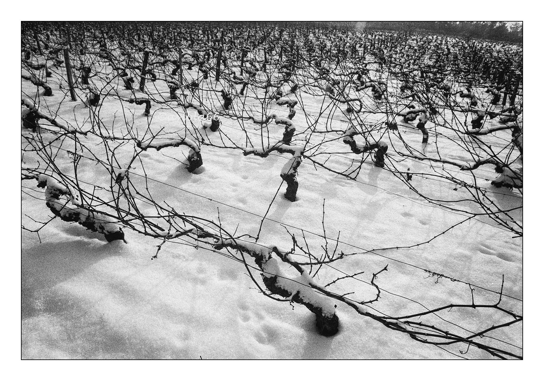 Territoire – Jean-Louis Blanchemanche