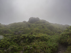 Voyage initiatique – Stéphane Derny