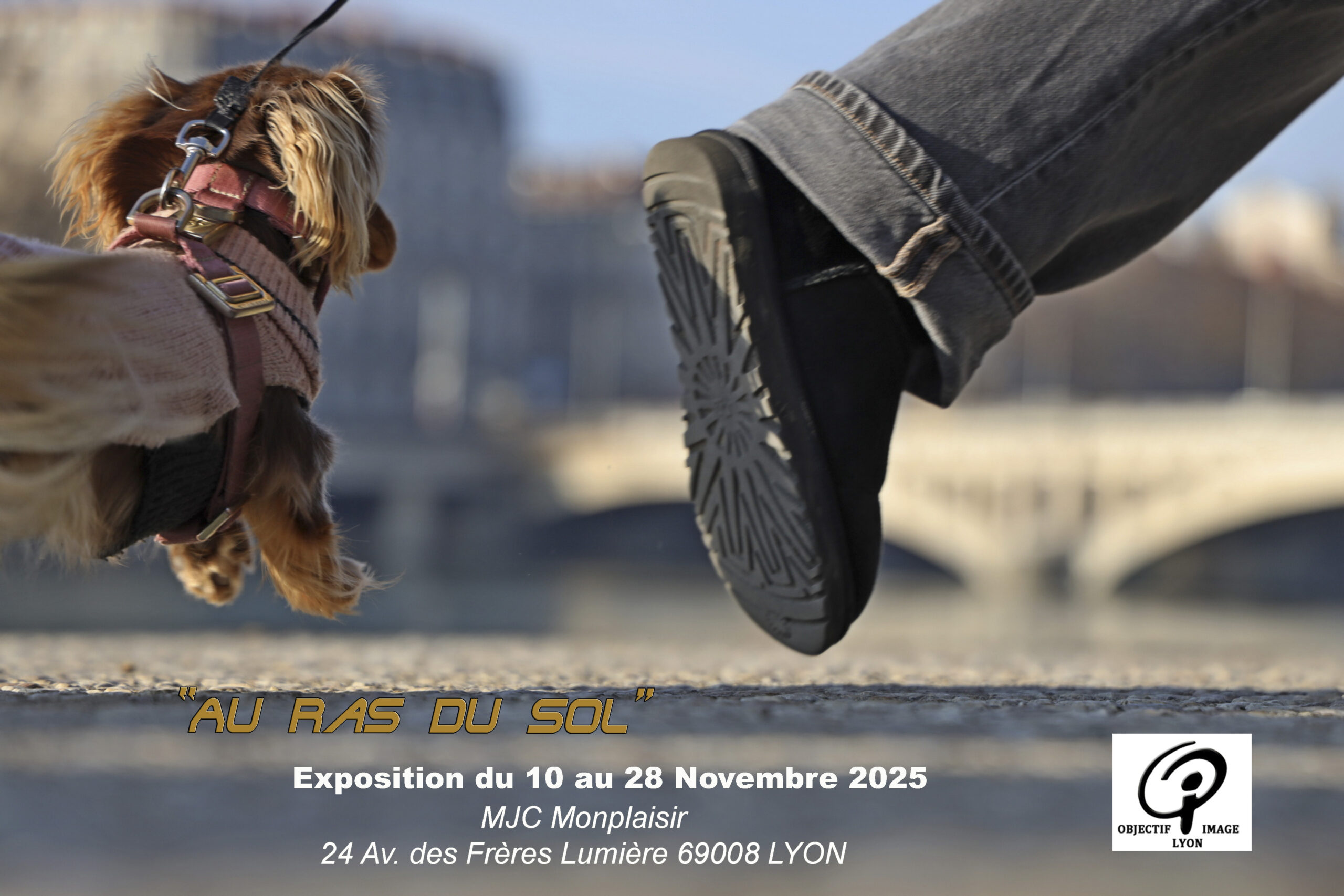 AU RAS DU SOL – Lyon