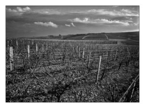 Territoire – Jean-Louis Blanchemanche