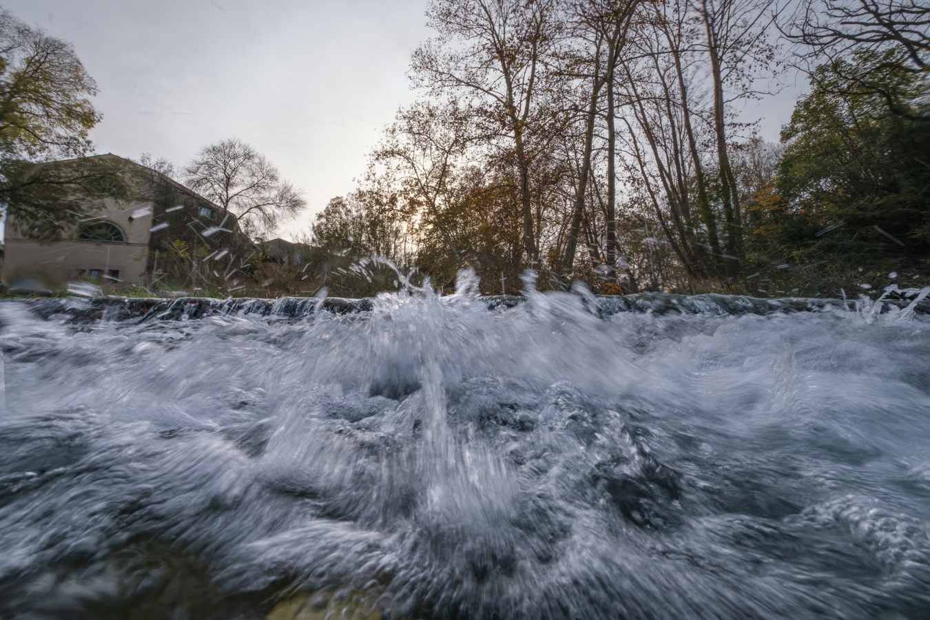 AUTOUR DU LEZ – Objectif Image Montpellier