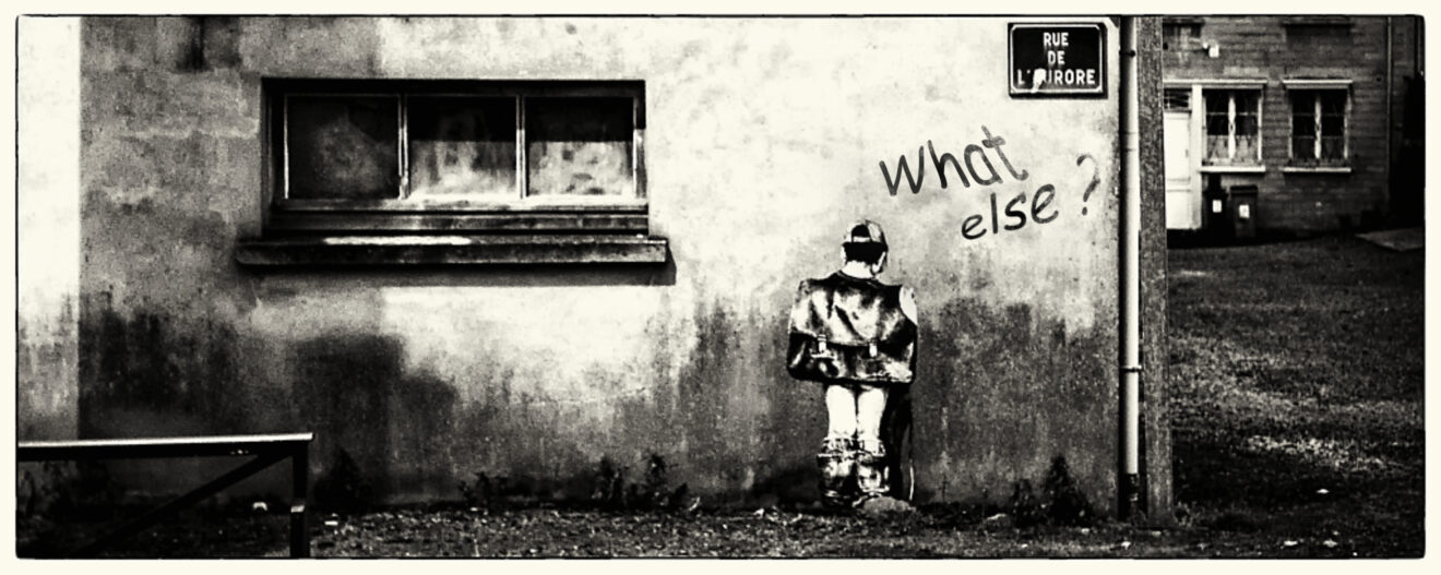 ＂what else＂ - Laurent Dubois