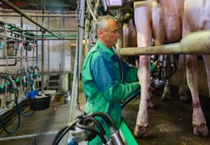 Daniel Gardan – « à la manière de »