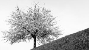 Michel Paret – « à la manière de »