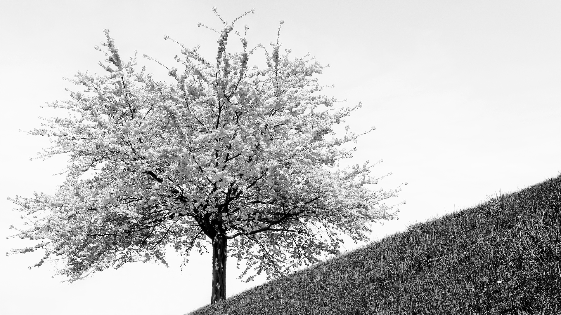Michel Paret – « à la manière de »