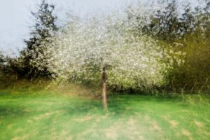 Francis Michel – « à la manière de »