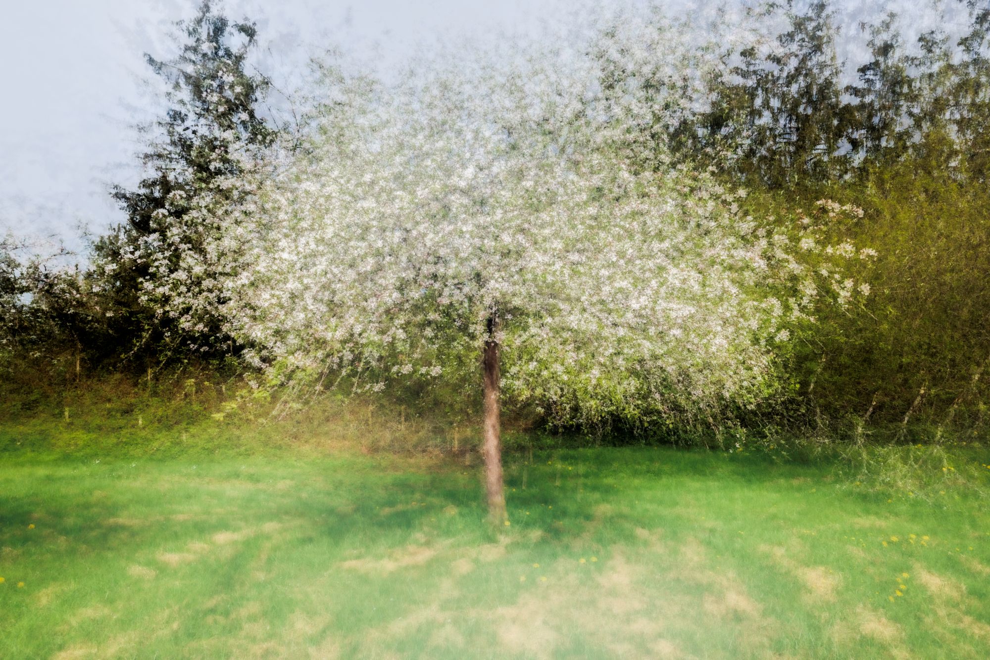 Francis Michel – « à la manière de »