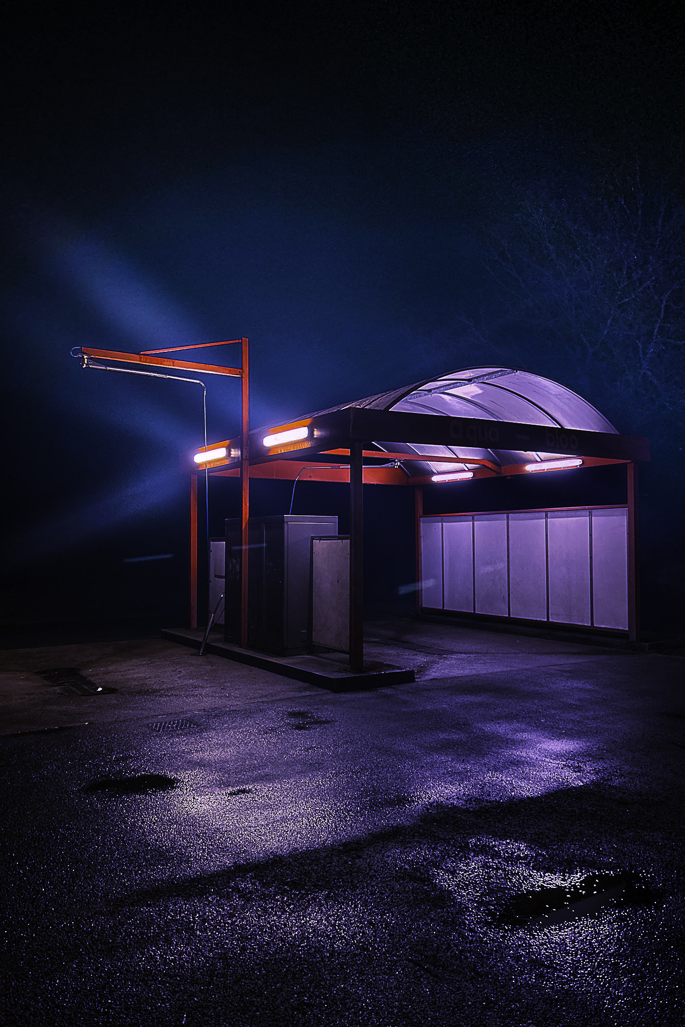 Laeticia Larquier – « à la manière de »