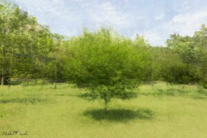 Michel Fiocchi – « à la manière de »