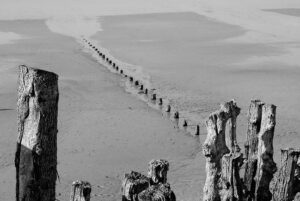 Yves Loisel – « à la manière de « 