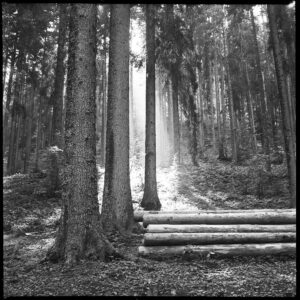 Le Val d’Arly de Michel Delalonde dans les années 1950