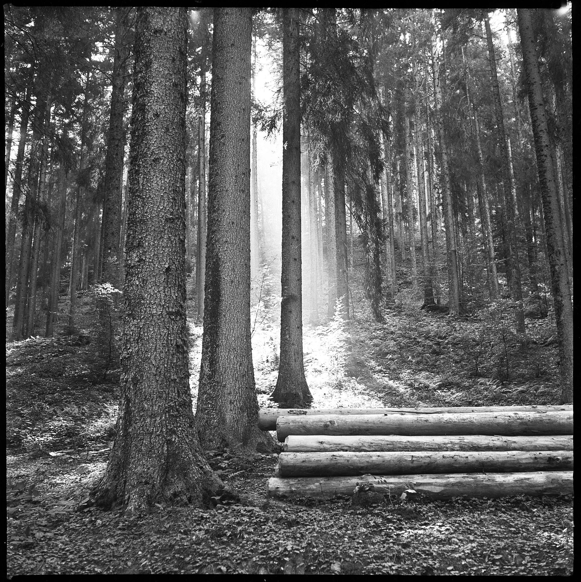Le Val d’Arly de Michel Delalonde dans les années 1950