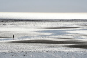 Exposition Photos – Orléans Image