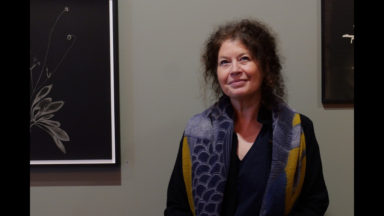 Sophie Zénon « l&rsquo;Humus du Monde » à la galerie du Château d&rsquo;eau