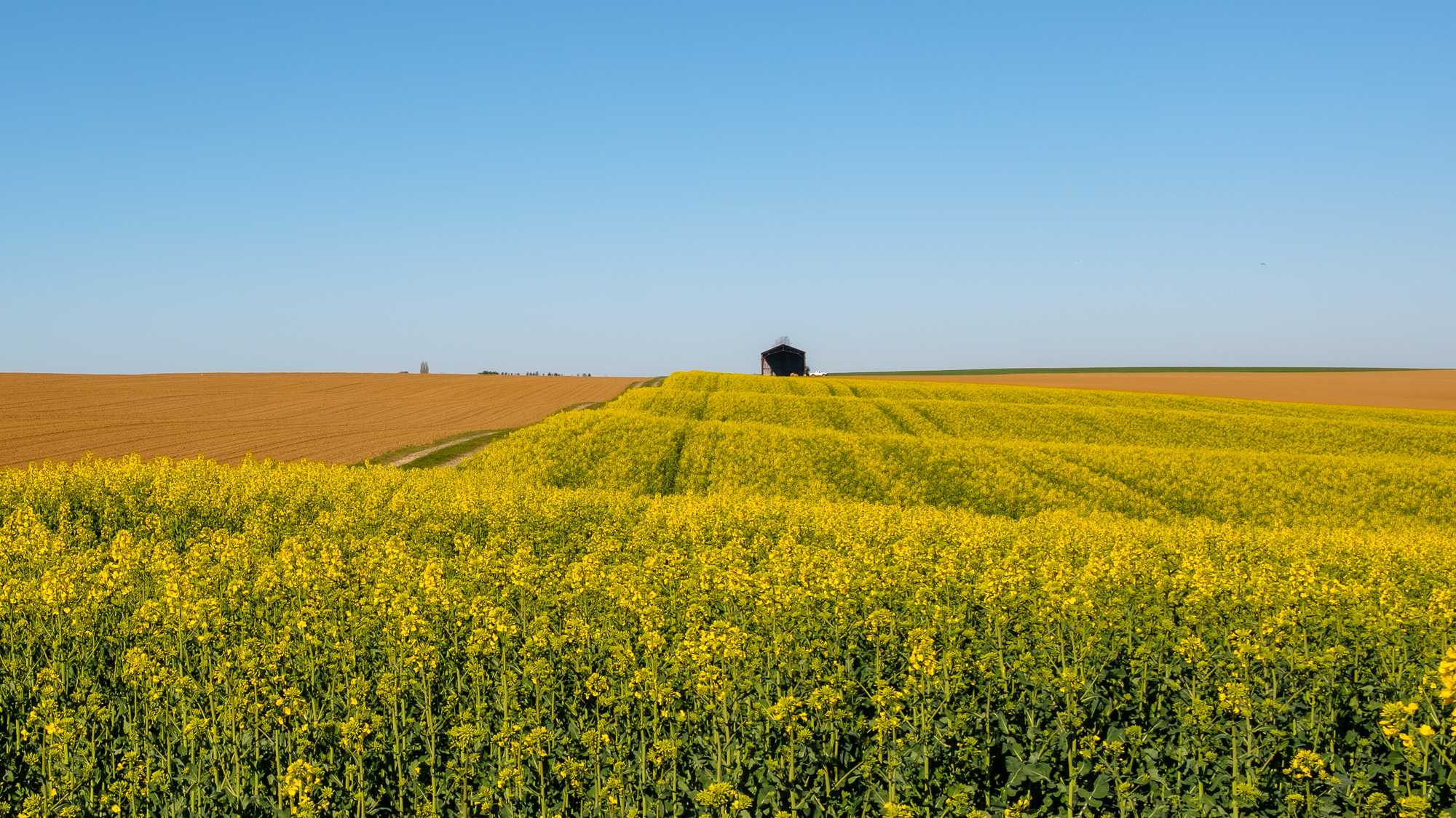 Jean-Pierre Cartier – « à la manière de »