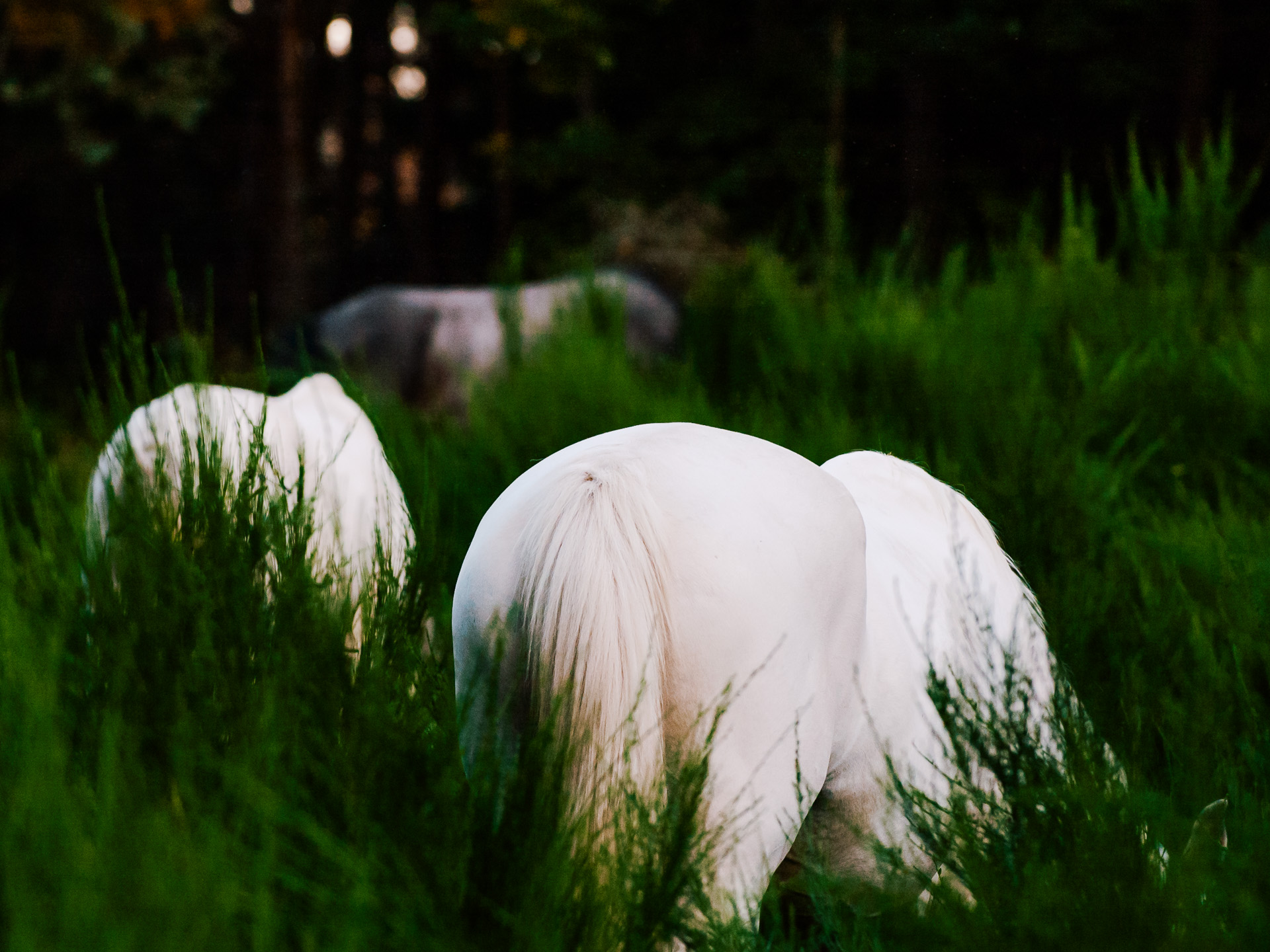 En regards – Michel Dao