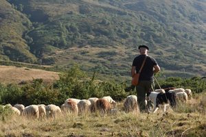 « Pyrénées » – Objectif Image PAU
