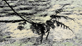 Nüshu-3
