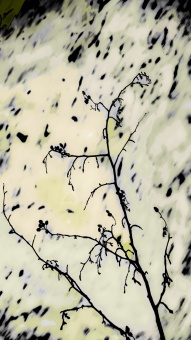 Nüshu-4