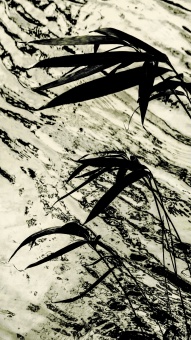Nüshu-5
