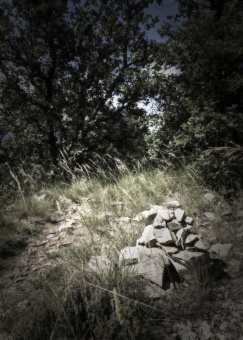 Déambulation introspective_ 1