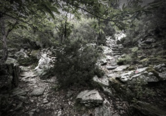 Déambulation introspective_ 3