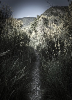 Déambulation introspective_ 5