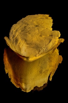 16082024-DSC_8775-Modifier-Modifier