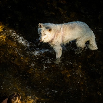 Courant-pur-dans-l'eau-de-là_4.jpg