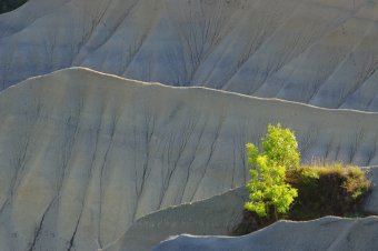 Ravin de Corboeuf1_ IMG3340